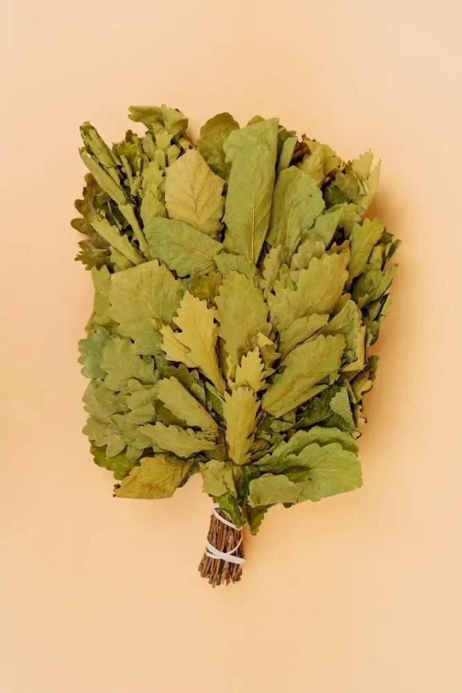 Веник  дубовый 