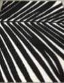 Ковер REGGI  1.6х2.3   L256A  BLACK/WHITE