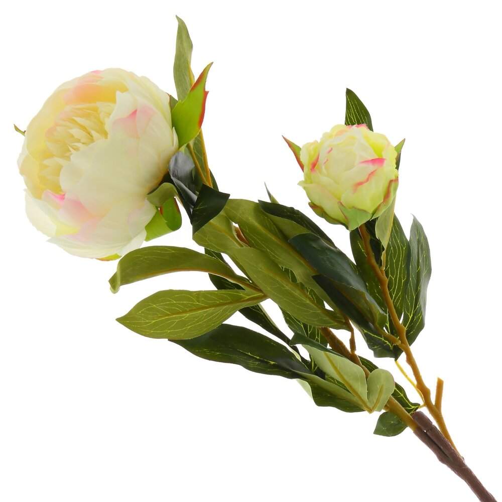 REMECO COLLECTION Цветок 749014 Пион L25 W17 H95см 