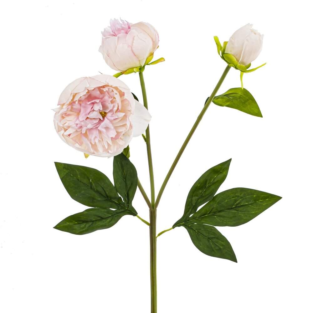 REMECO COLLECTION Цветок 797528 Пион L13 W13 H63см 