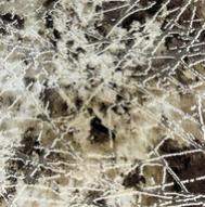 Ковер Adele  0W9634/ML4  1,5х2.3  L.Beige/L.Brown