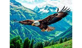 Ковер Сириус  1,5*2  182/41