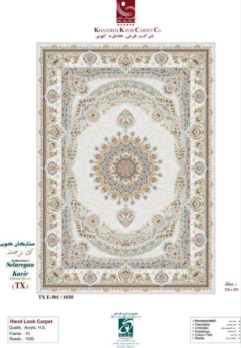 Ковер Desert Rose (TX) E-501/1030   3,0х4,0