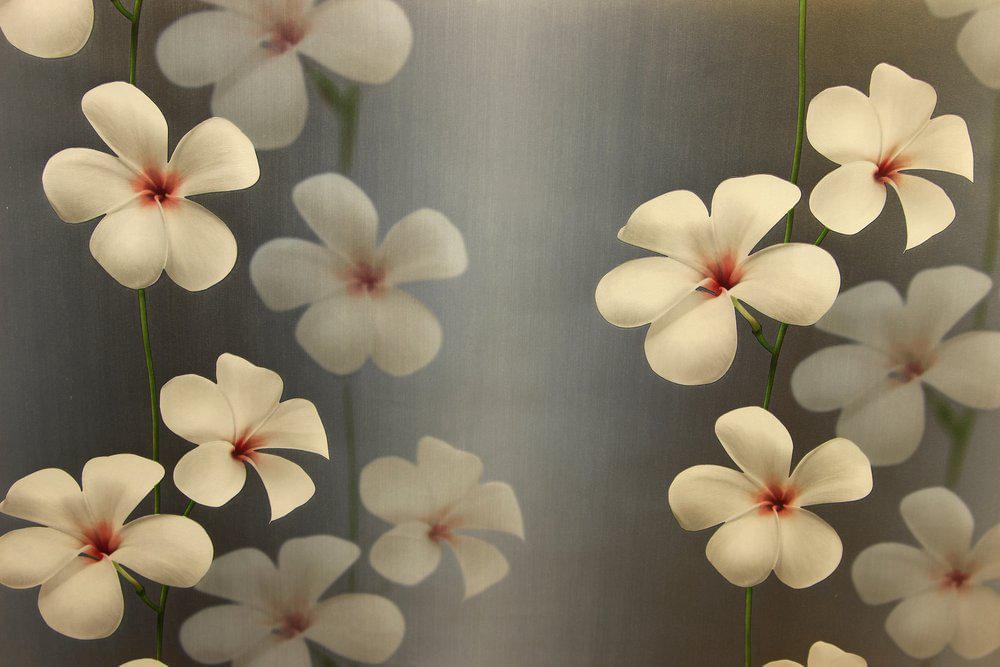 Обои  Andrea Rossi  54118-9  Vulcano  1,06х10м (СНЯТ)