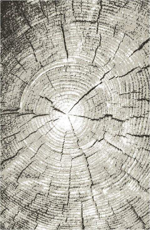 Ковер Альфа  88070-01  1,5х2,3