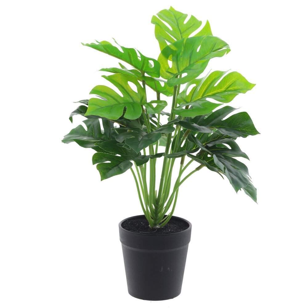 REMECO COLLECTION Композиция цветочная 814516 Монстера 33х33х35см