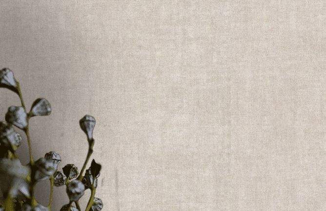 1308UR (GD)  обои Бельгия / Universe