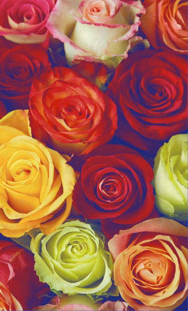 Ковер Baby New  6253  2,0х3,0  Kirmizi/Lacivert