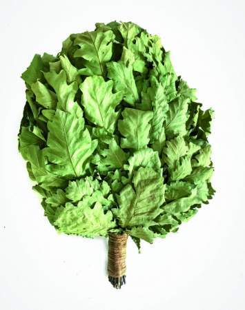 Веник Woodson для бани Премиум, кавказский дуб с обмоткой