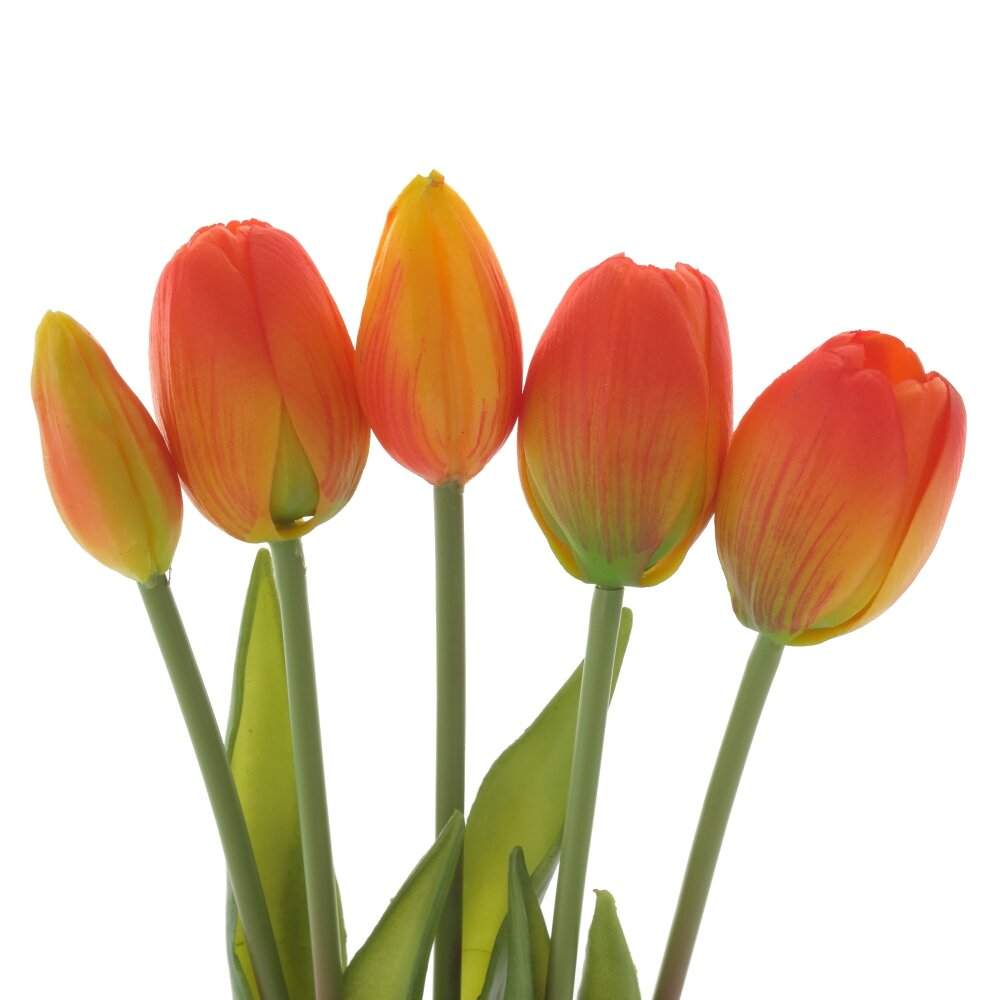 REMECO COLLECTION Букет 795140 Тюльпаны из 5-ти шт L9 W9 H38см  