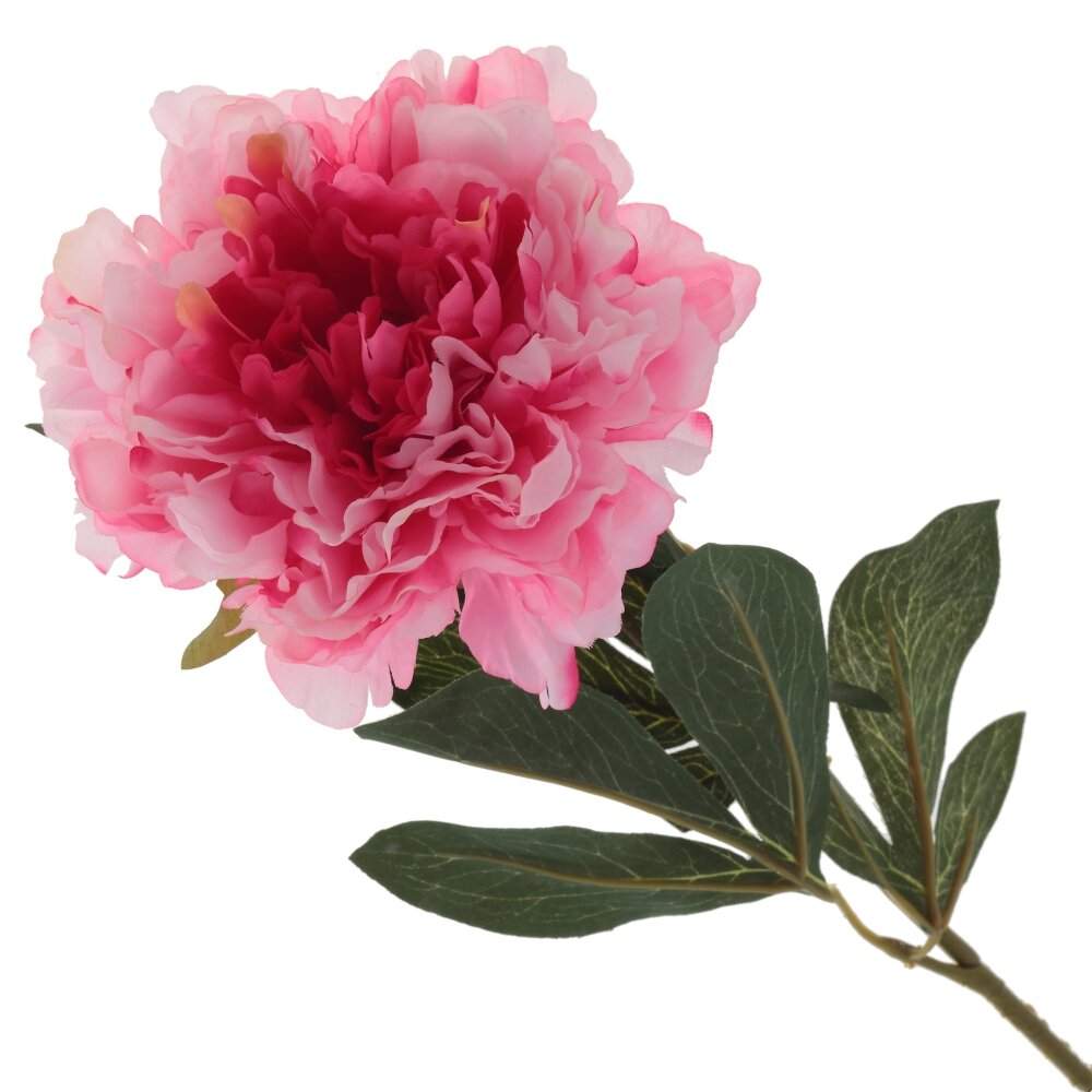 REMECO COLLECTION Цветок 795135 Пион L15 W15 H80см