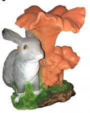 Гриб  ФП114  Лисичка с зайчиком  