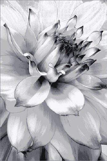 Ковер Бостон 40985/68  2,5х3,5