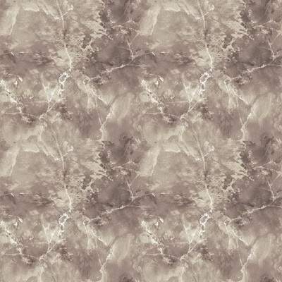 Дорожка принт  Витебск  1779/с2/100  0,8м