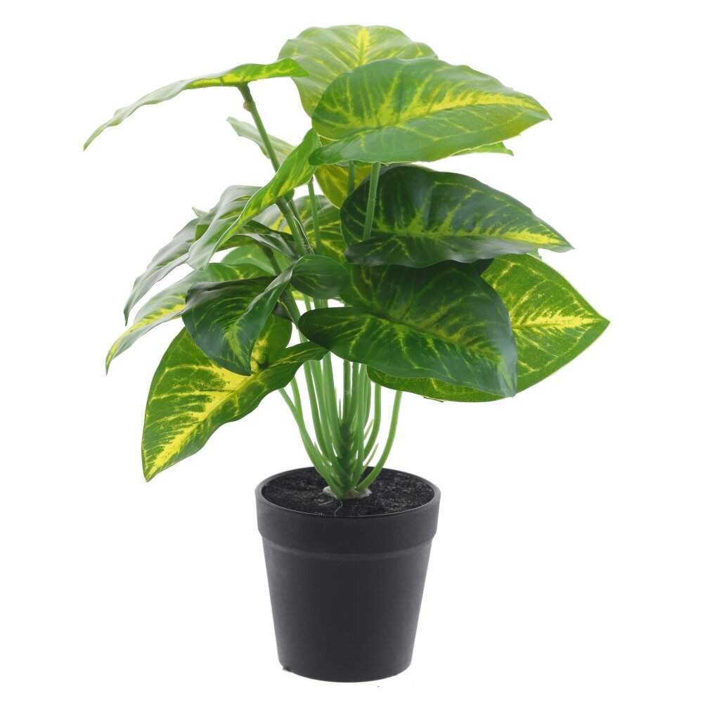 REMECO COLLECTION Композиция цветочная 814515 Каладиум 27х27х32см