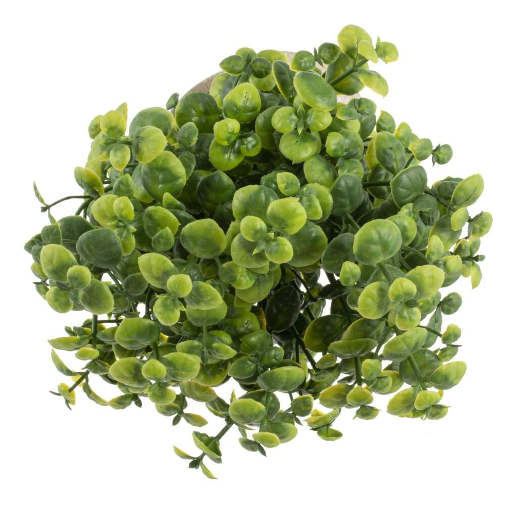 REMECO COLLECTION Композиция цветочная 817349 8х8х23см