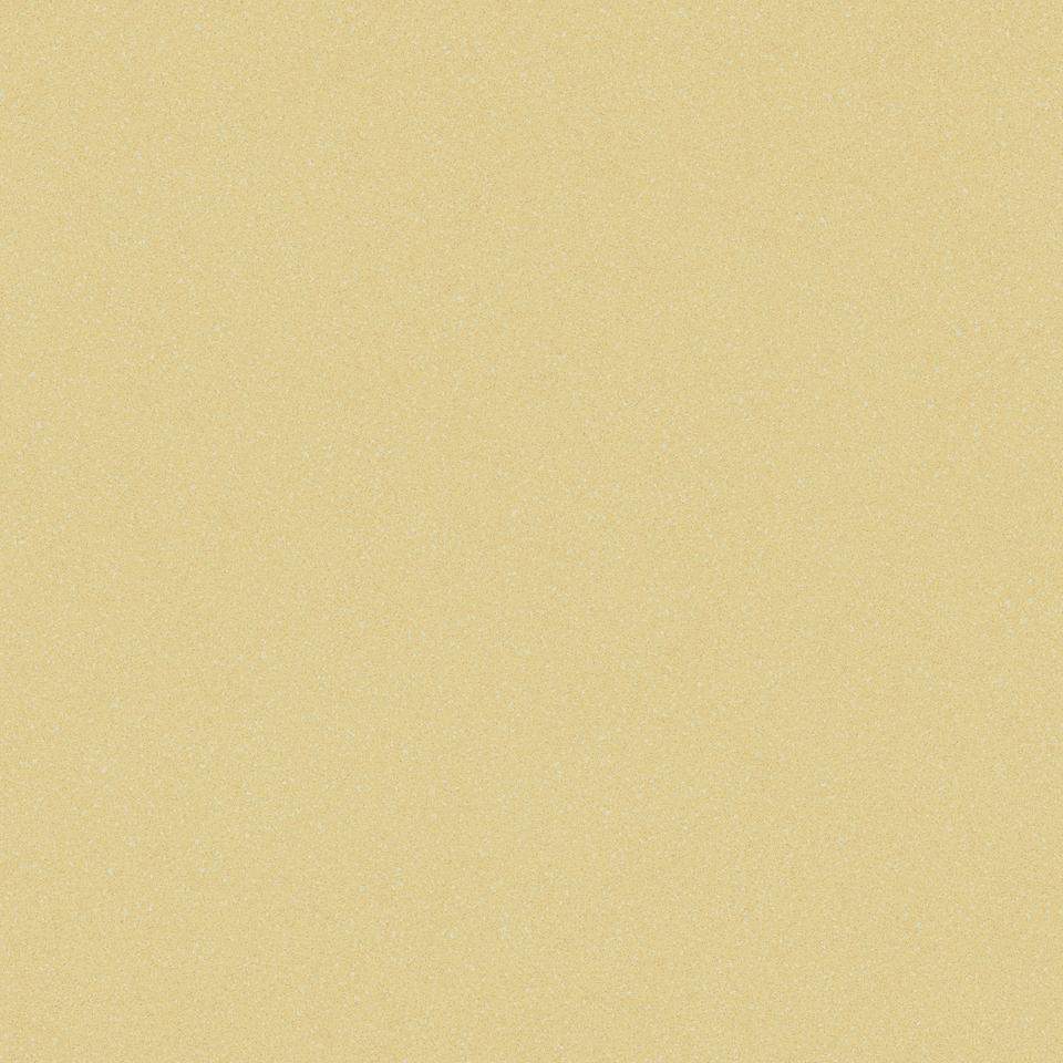 Линолеум  3,0м  ACCZENT PRO Aspect 6