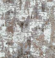 Дорожка  Сириус 107/81 0,8м  