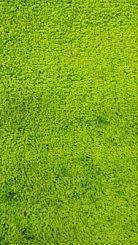 Ковер Varo  2001  0,7*1,2  Green