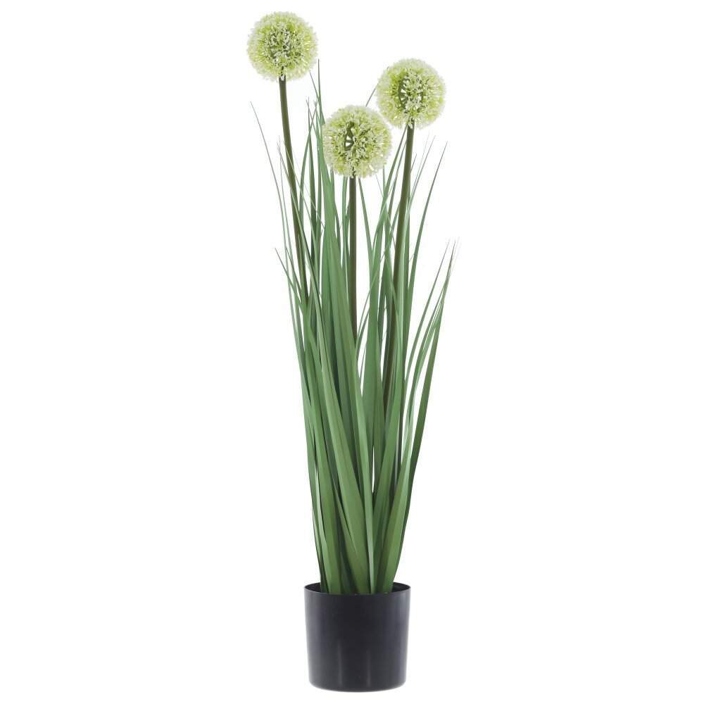 REMECO COLLECTION Композиция цветочная 814483 Аллиум 12,5х12,5х79см