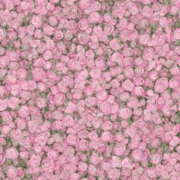 Линолеум  3,0м  Fleur Rose 2