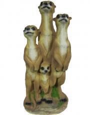 Сурикаты  ФП123  четвёрка