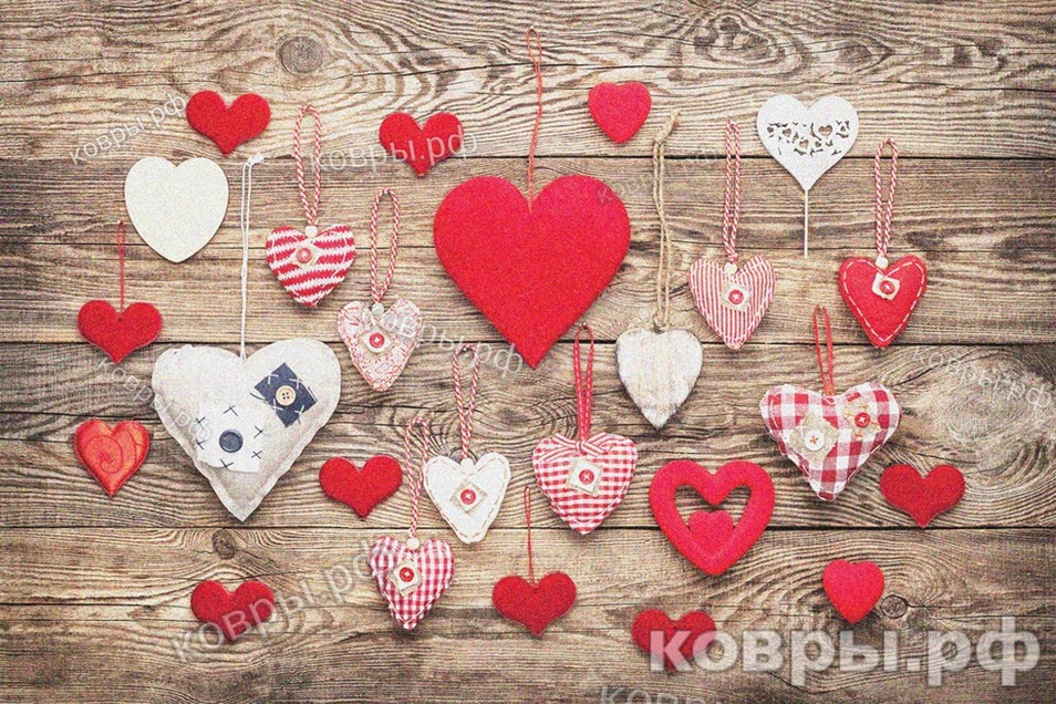 Ковер CAMPUS  24006.101  0,8х1,5 