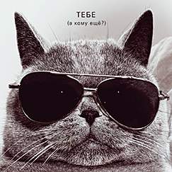 Открытка код 7  7216  Тебе