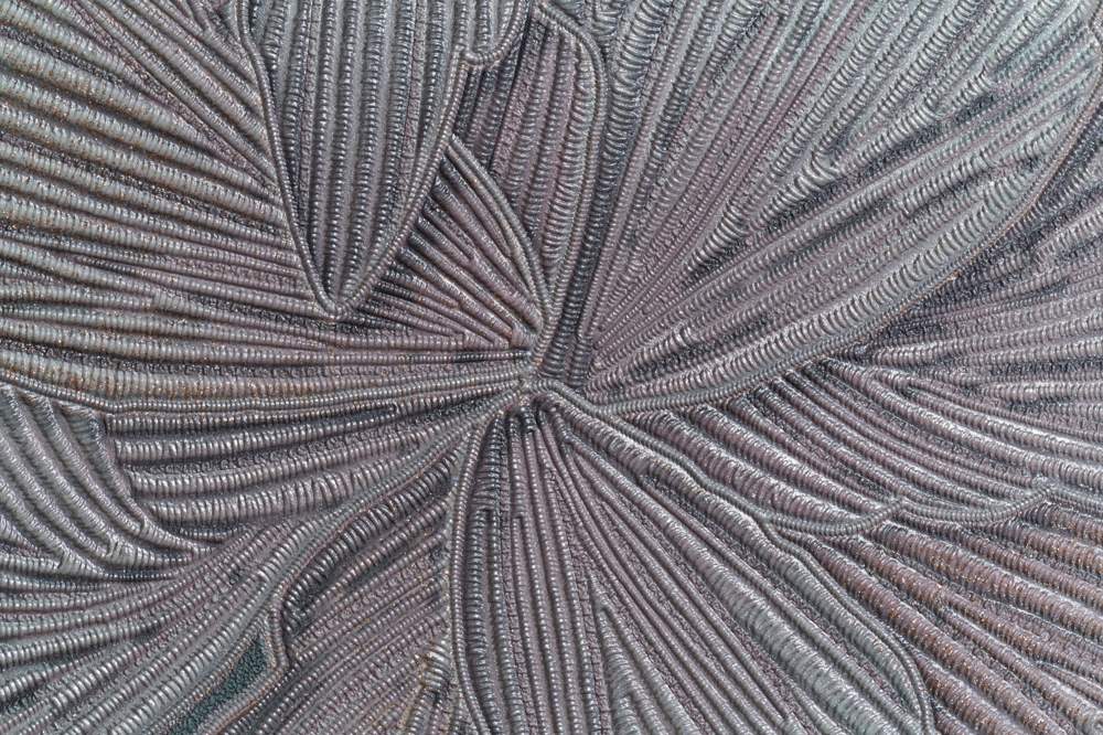 Обои  Палитра  PC 71503-45 1,06х10,05м  PrestigeColor  (СНЯТ)