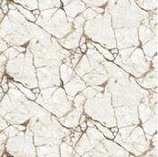 Напольное покрытие  5,0м  Витебск 2738/a1/113