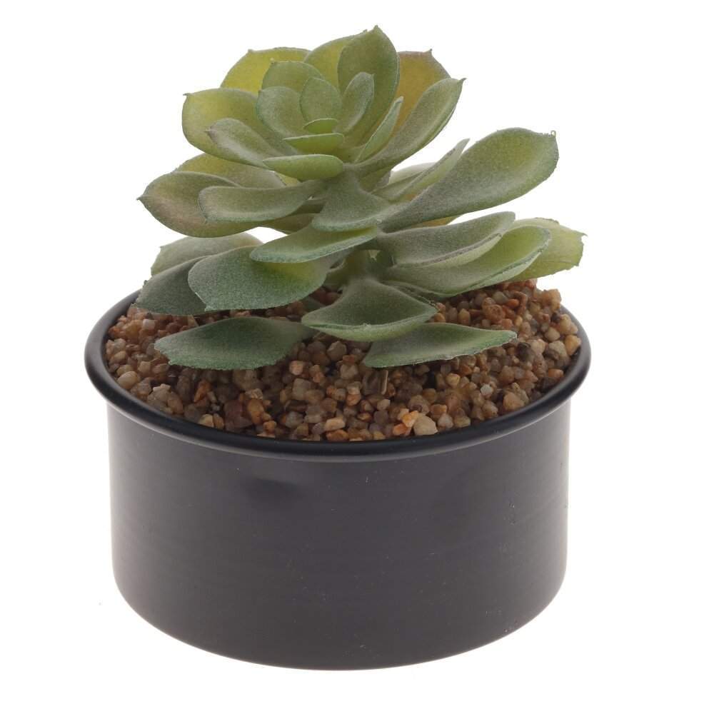 REMECO COLLECTION Композиция цветочная 789675 L10 W10 H12см