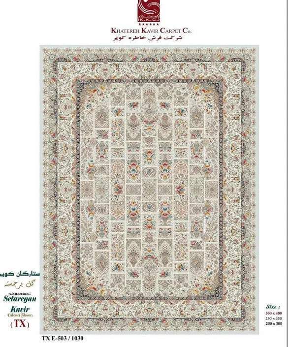 Ковер Desert Rose (TX) E-503/1030   2,0х3,0