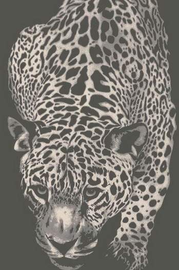 Ковер Сити  38985/50  1,6х2,3