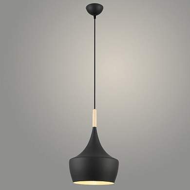 Подвес 7720/1HQ BK+WT черный/белый 1х60W E27 d300 h390, TXN22