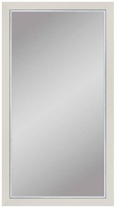ГРАФИС Зеркало 50х100 Рама 6/Багет 65-А355 Белый с серебром