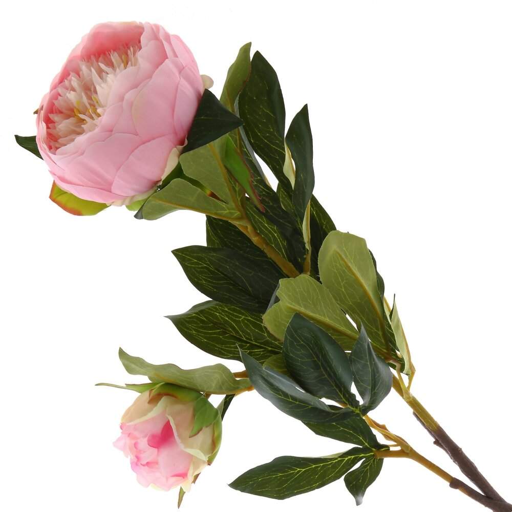 REMECO COLLECTION Цветок 749013 Пион L25 W17 H95см 