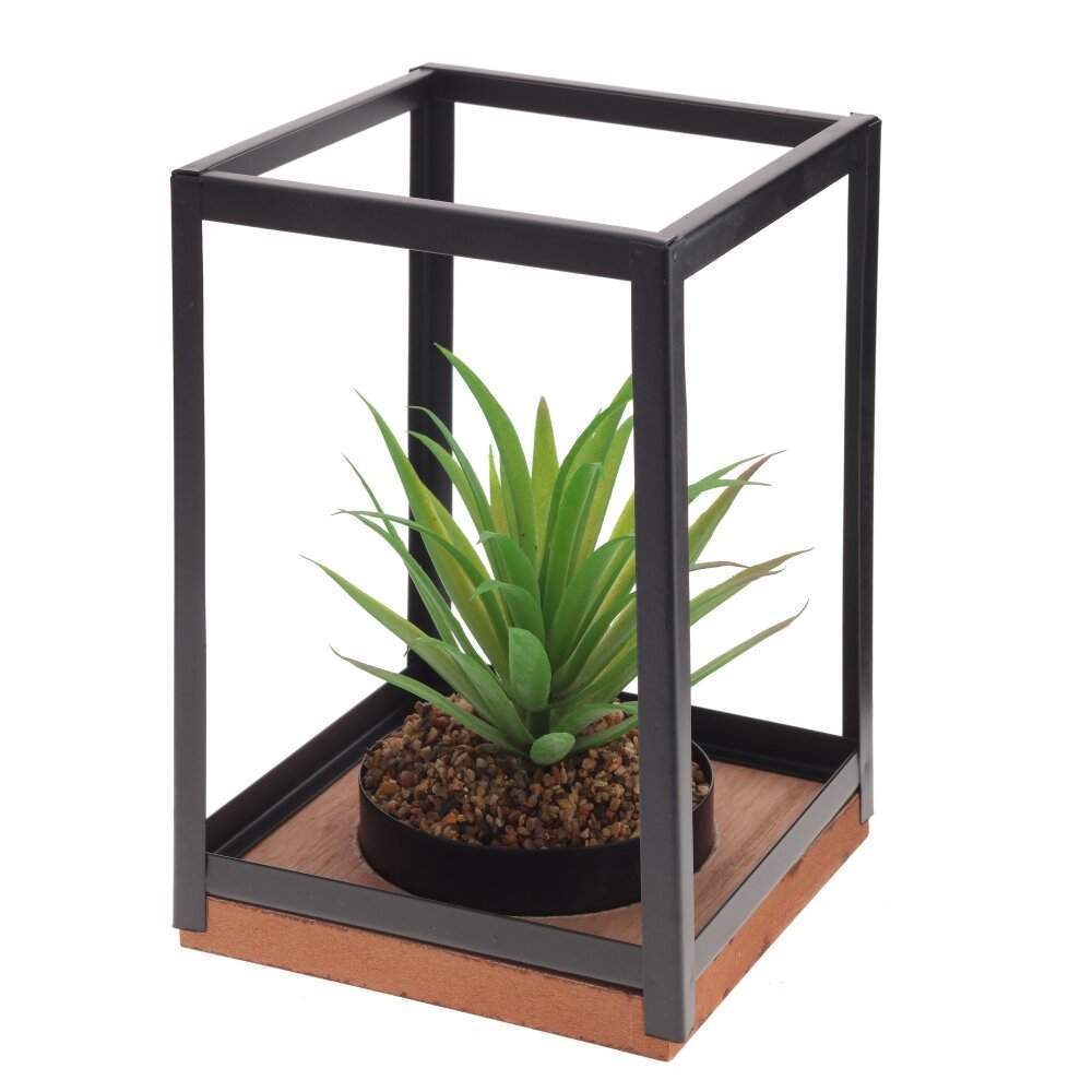 REMECO COLLECTION Композиция цветочная 789661 L14 W14 H21см