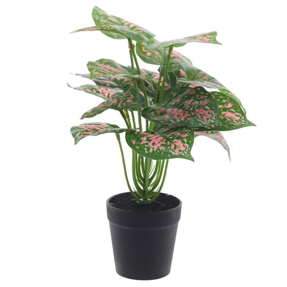 REMECO COLLECTION Композиция цветочная 814517 Каладиум 25х25х33см