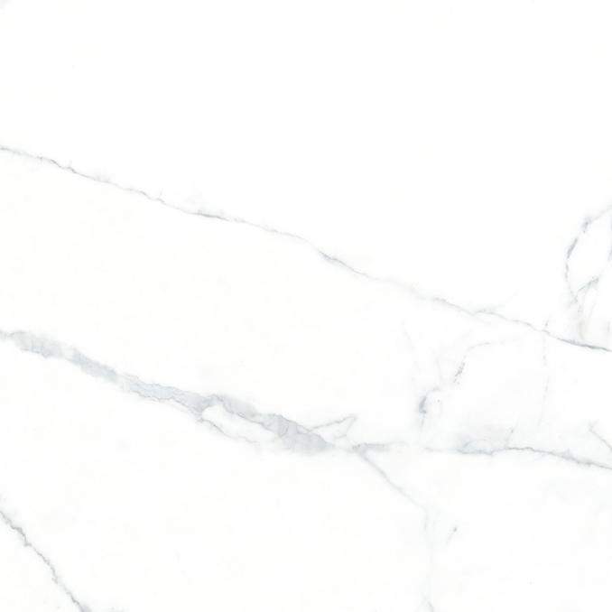 Ogma Керамогранит 800х800 Полированный