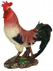 Петух  ФП157  Испанский 53см