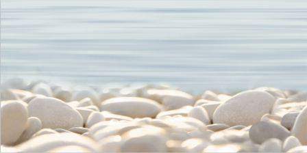 Del Mare  DWU09DLM604 декор  249х500х7,5 (12 шт. в коробке)