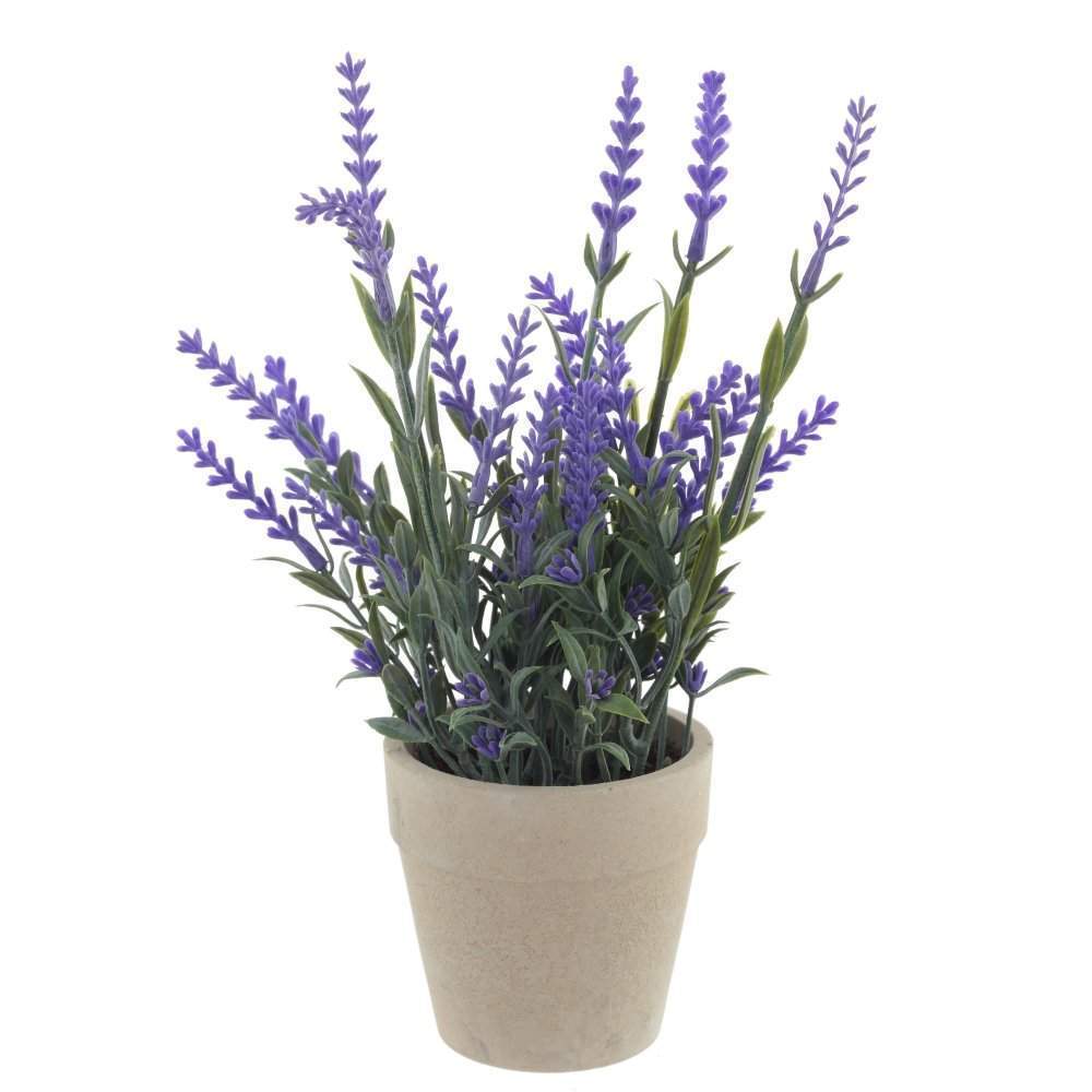 REMECO COLLECTION Композиция цветочная 756222 L14 W14 H22см