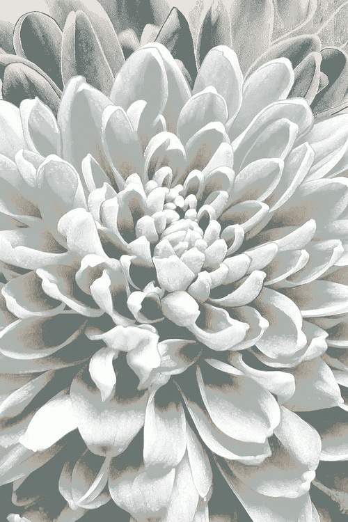 Ковер Аврора  4208/b3  2,0х3,0  