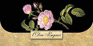 Открытка-конверт д/денег код 9  7495 В День рождения