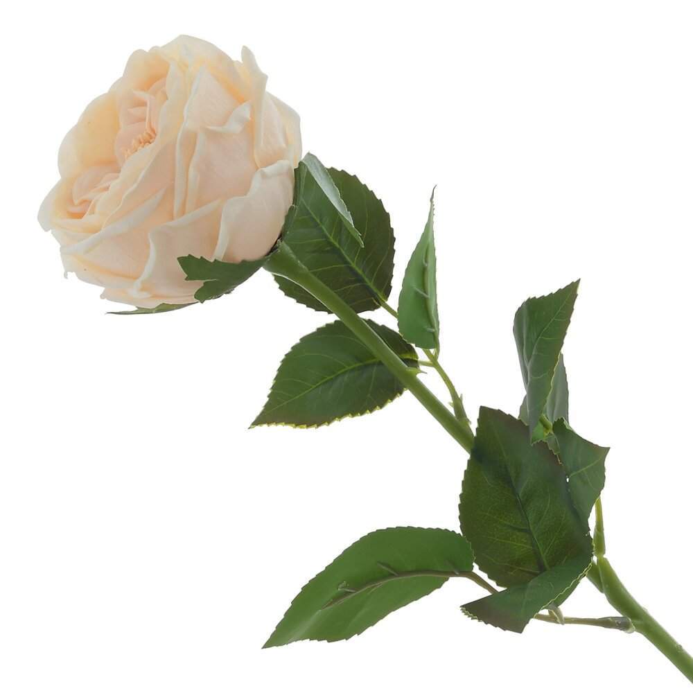 REMECO COLLECTION Цветок 814606 искусственный Роза 60х60х9см