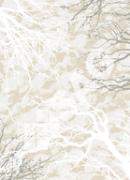 Ковер Atom   8723_CO63  1,5x2,3  Cream/White  овал