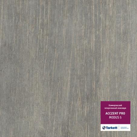 Линолеум 3,0 AcczentPro Modus5 
