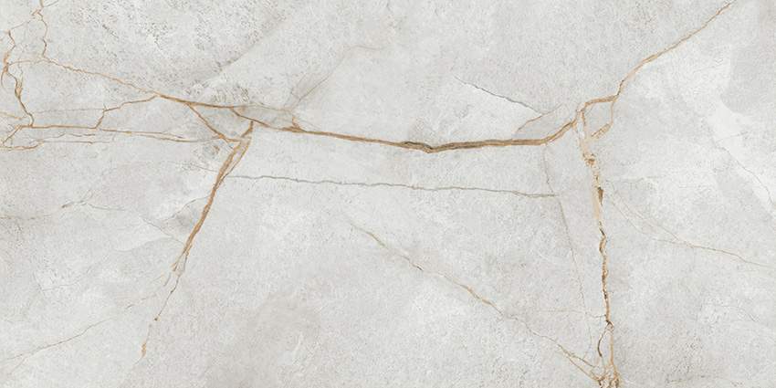 Special Marmo Gray  60120PEC15P  Керамогранит полированный 600х1200 (2 шт в уп/53,28  м в пал) 