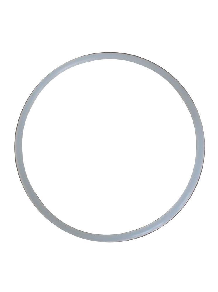 Кольцо уплотнительное F9042 для стальных корпусов  (10SL)