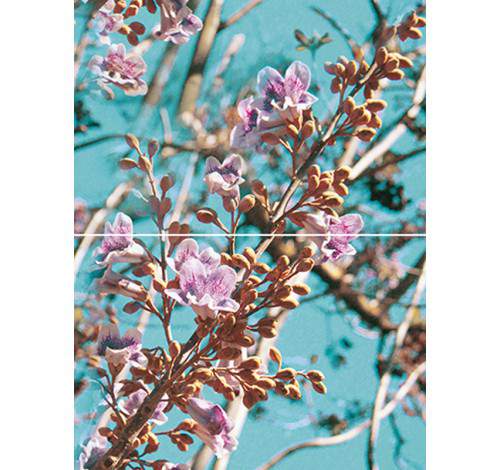 Spring P2D261  Панно из 2-х плиток  300х400 (снято с пр-ва)